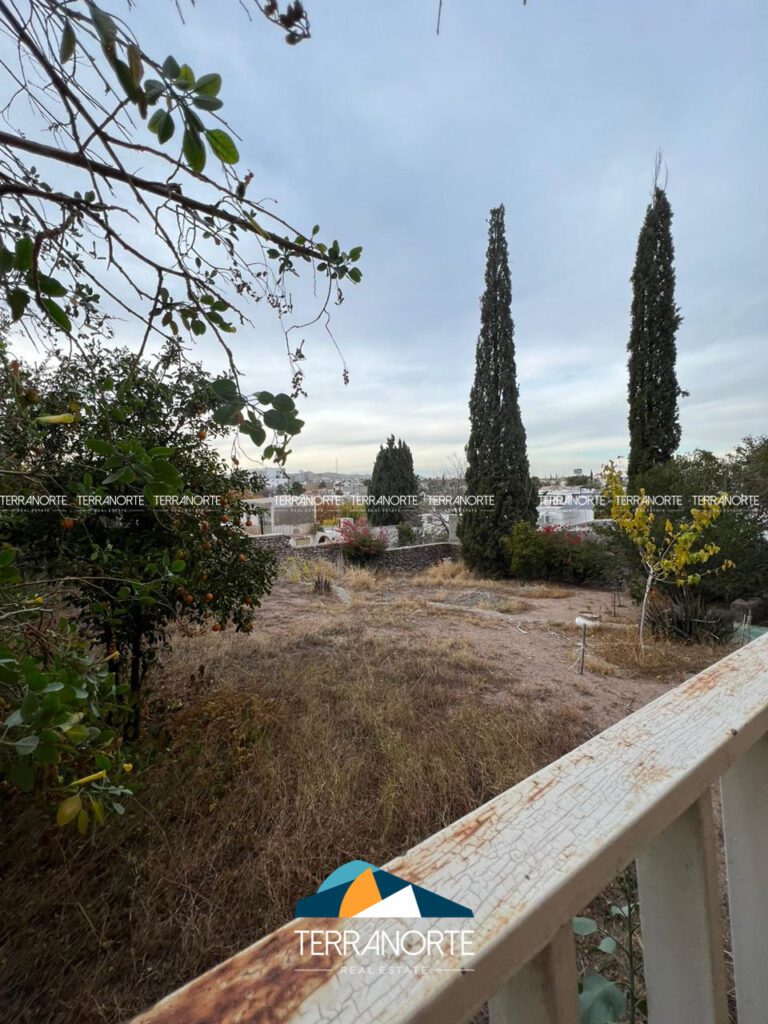 19D2096E-344D-470F-AA09-F5DD337C192F