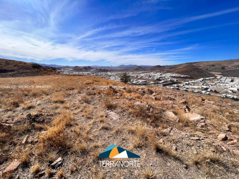 20A50D8E-67A4-4F4A-BBAA-FD931DB73B15