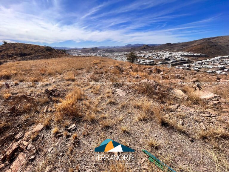 561D95A8-E6A9-4274-8CBE-496369901920