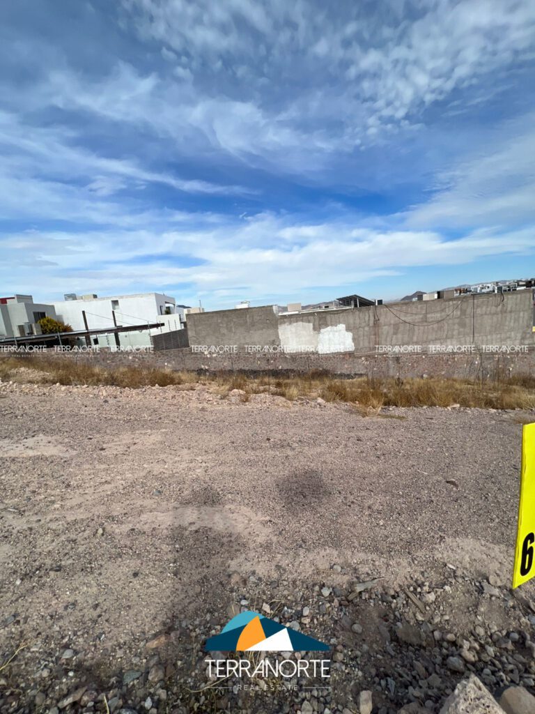 C1010843-1A04-4C3F-B475-2539566E77AA