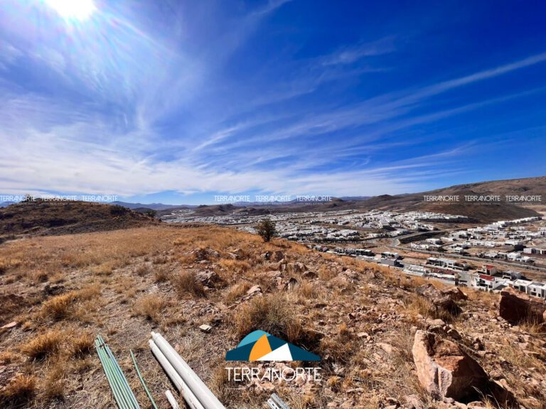 E9433C47-29B7-4A3B-B2CA-F78FF9E24550