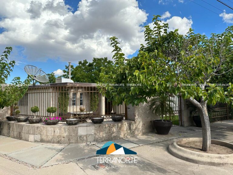 EA95CF64-92C0-446C-BC48-A32F0878E865