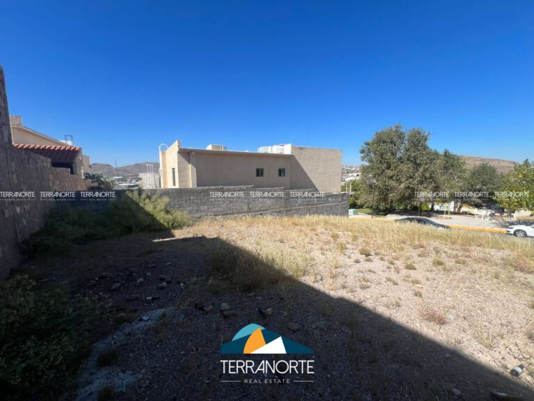 7652DC40-6CE1-4CDD-A458-68441D693FEE