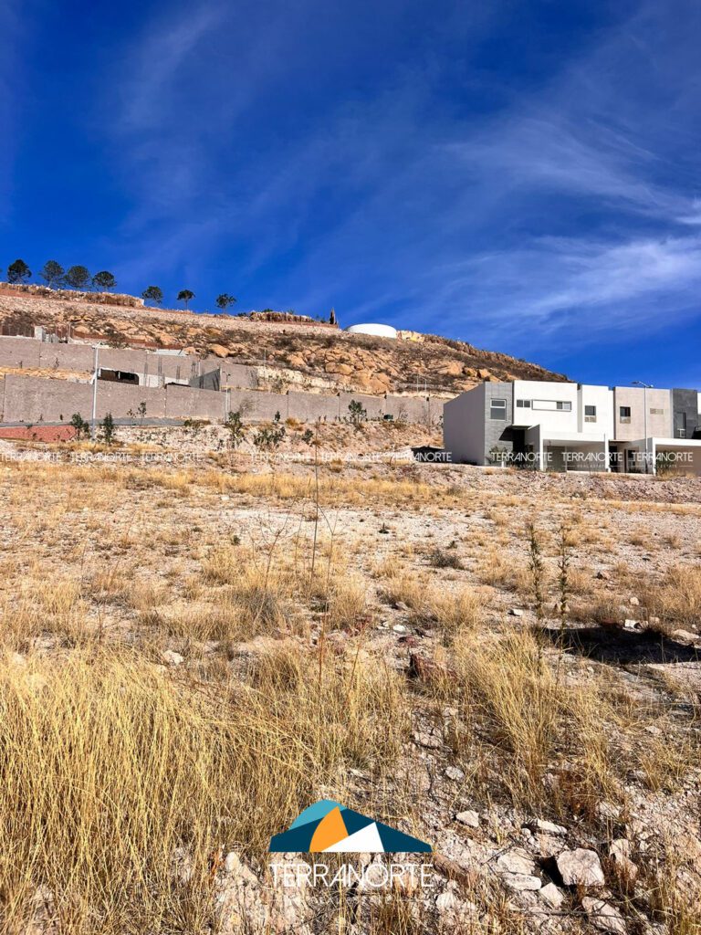 87D23F5F-24A4-4AB2-B914-B5B77395A746