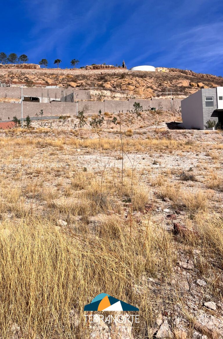 DF0239BE-E283-493F-9CA3-7C74FFB7677F