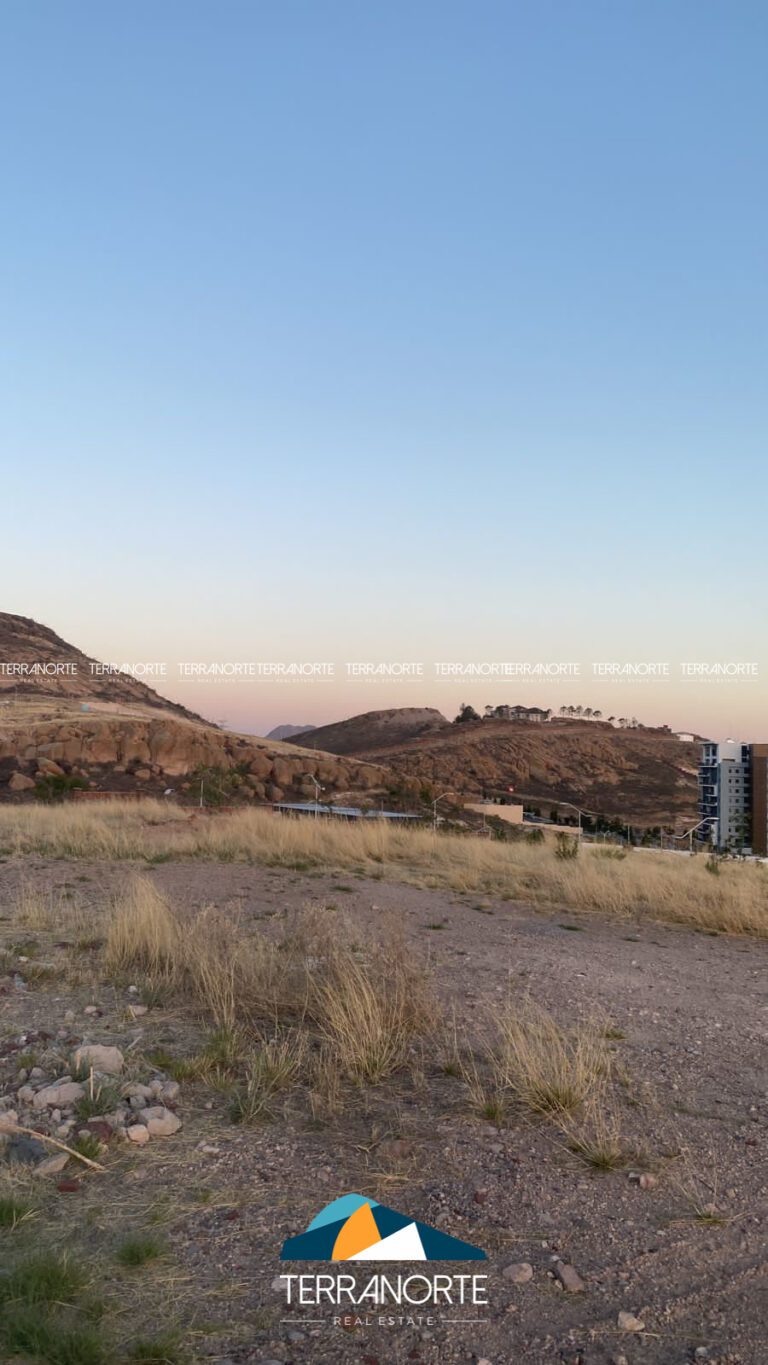 EF6A0998-762E-40D8-B974-C94D116BB889