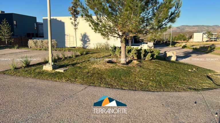 14336F71-7E63-42AD-A54B-863630A0D480