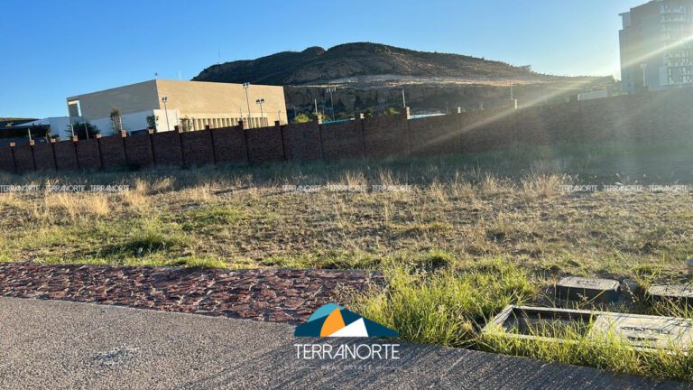 45CF3766-8598-416E-91CA-FE9868AFD79D