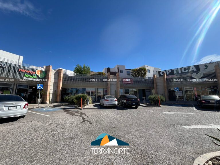 554E01AE-A231-4BA4-9F2E-A6D0D199285F