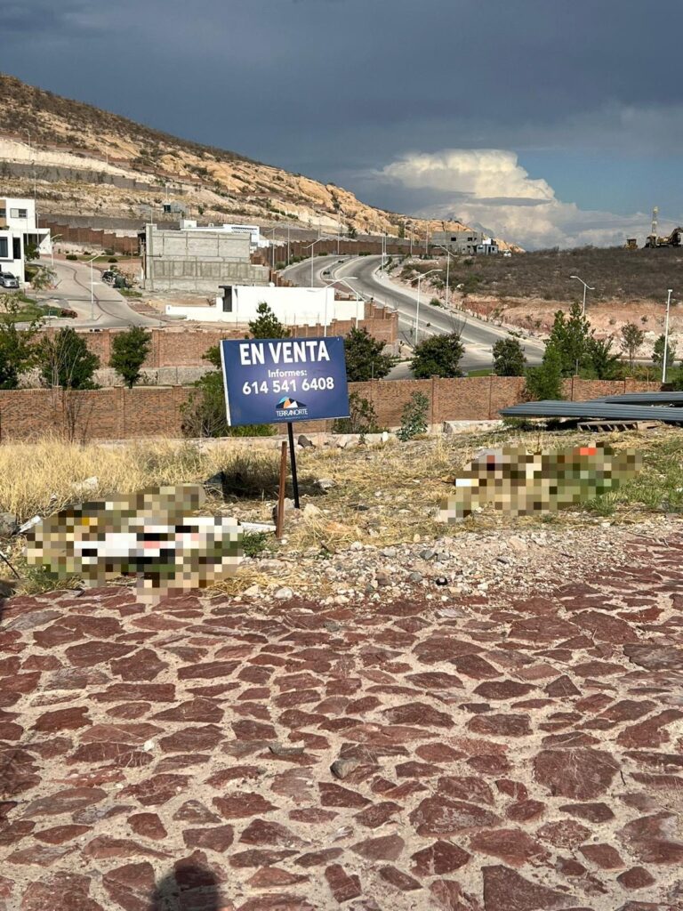 7054321f-60c8-449e-ac88-7da3a7e3f4bc