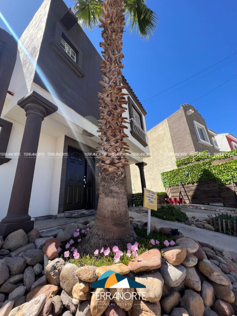 CF8D541A-370C-4CA7-BFDA-0E56E24FA028