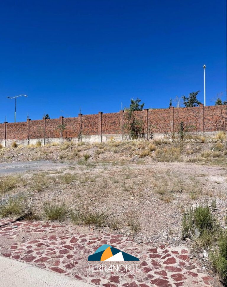 E41A6DE3-D38E-4243-9191-D4388735EB4A