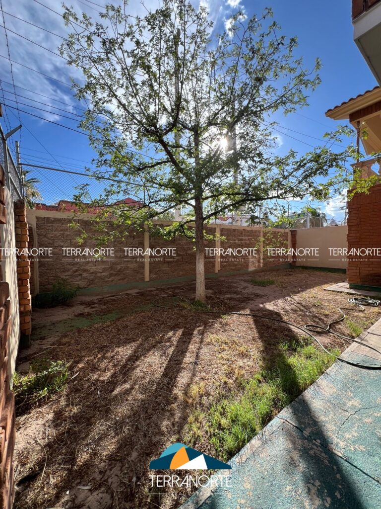 78b17a17-79a8-4d51-a867-2fc3a12196b0