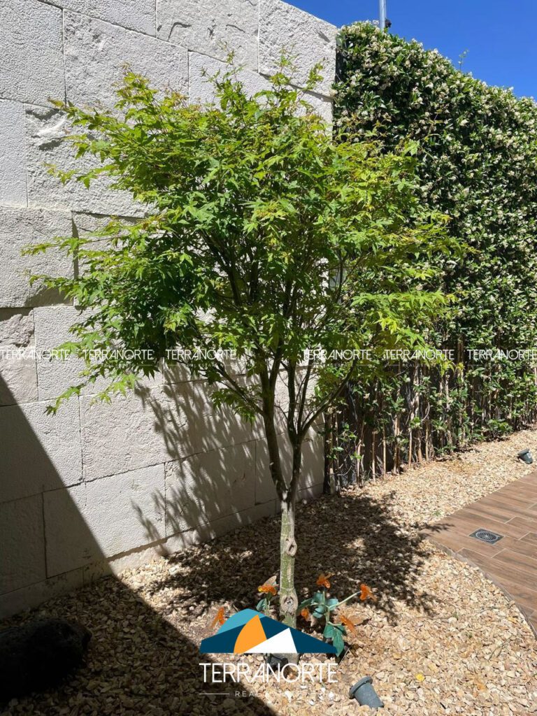 e25b455e-3a3d-4c53-ba79-665211ca535e