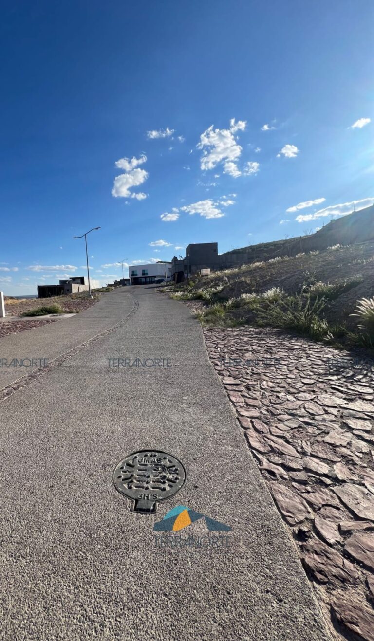 c3420692-520b-405c-b069-932027a91567