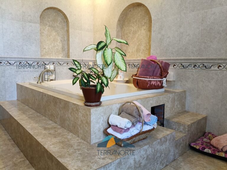 eee71258-7bfb-4aeb-8906-5f832b29cc82