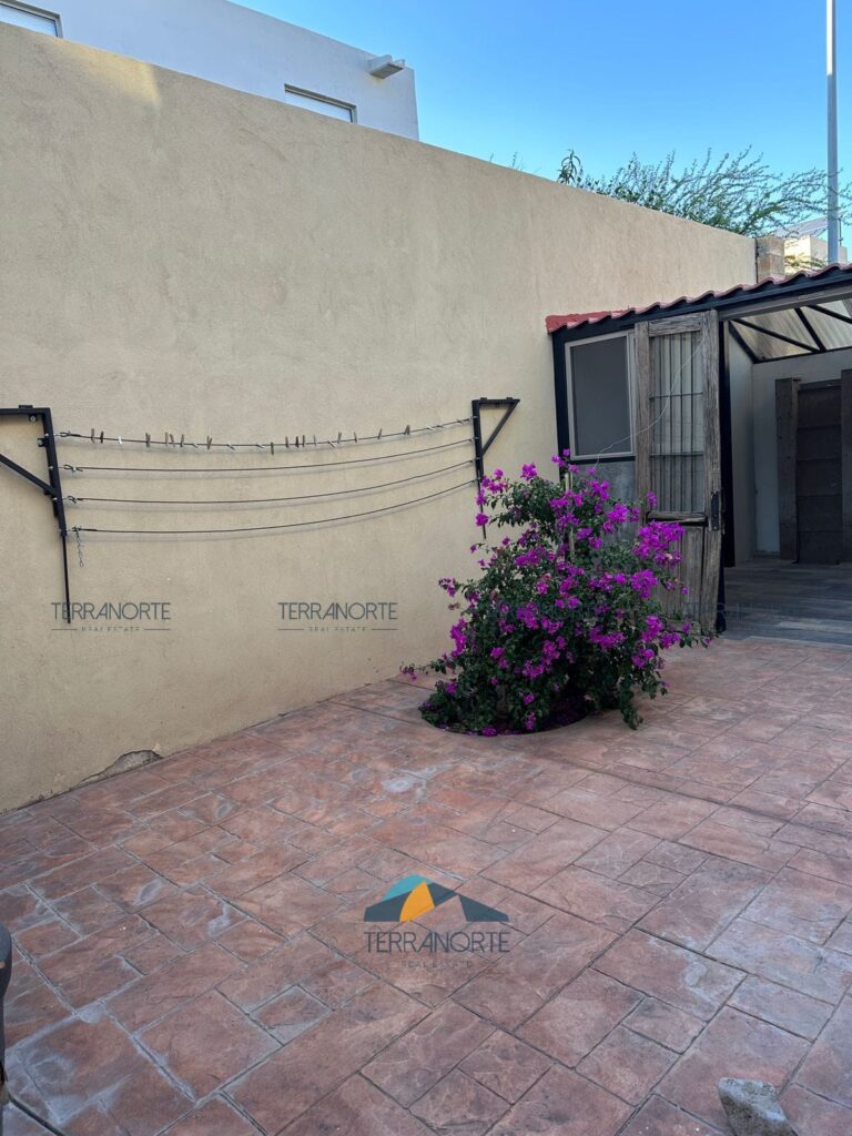 ad05d689-7dfd-49db-a6c9-974a788bc328