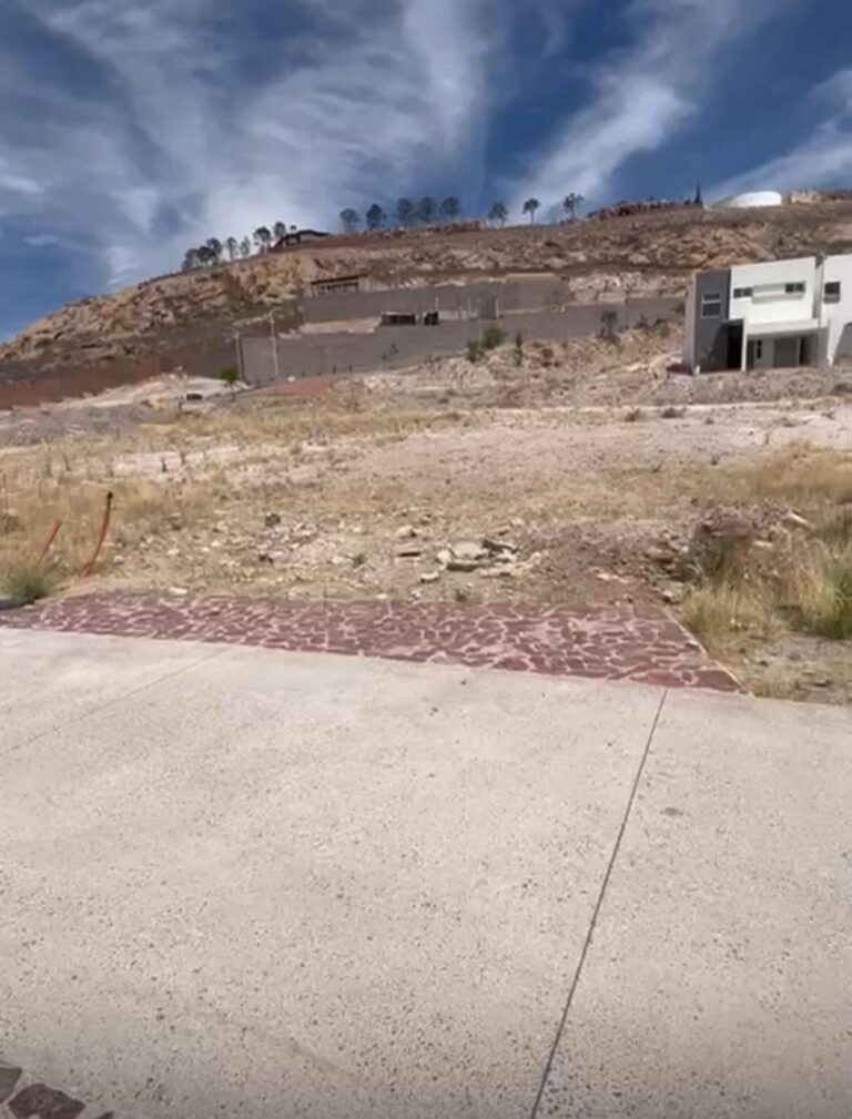 9dc8f659-24c3-473e-879c-182ee26e07a2